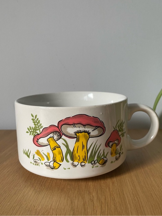 Other - Vintage 1970s Mushroom Illustration Ceramic Soup Mug